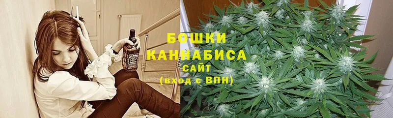 Конопля индика  Высоцк 